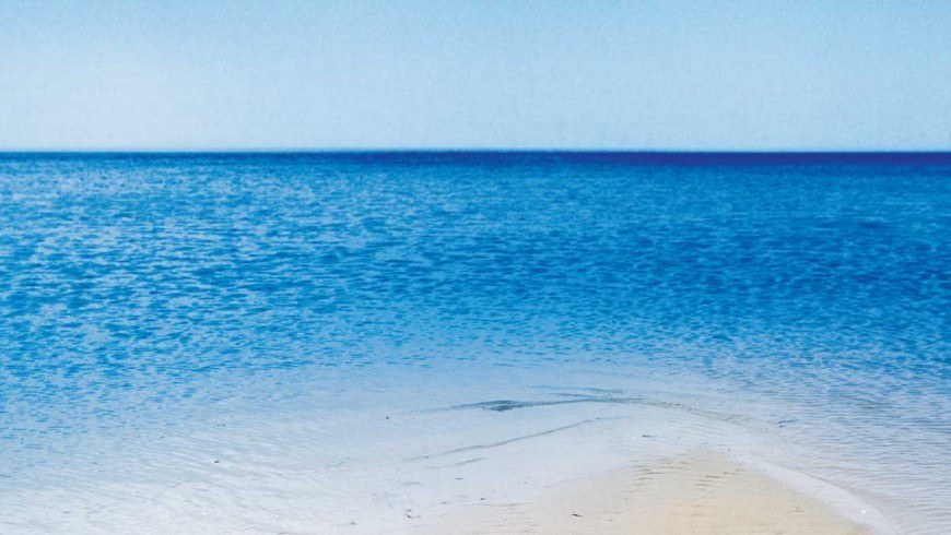LIVING ON THE BEACH